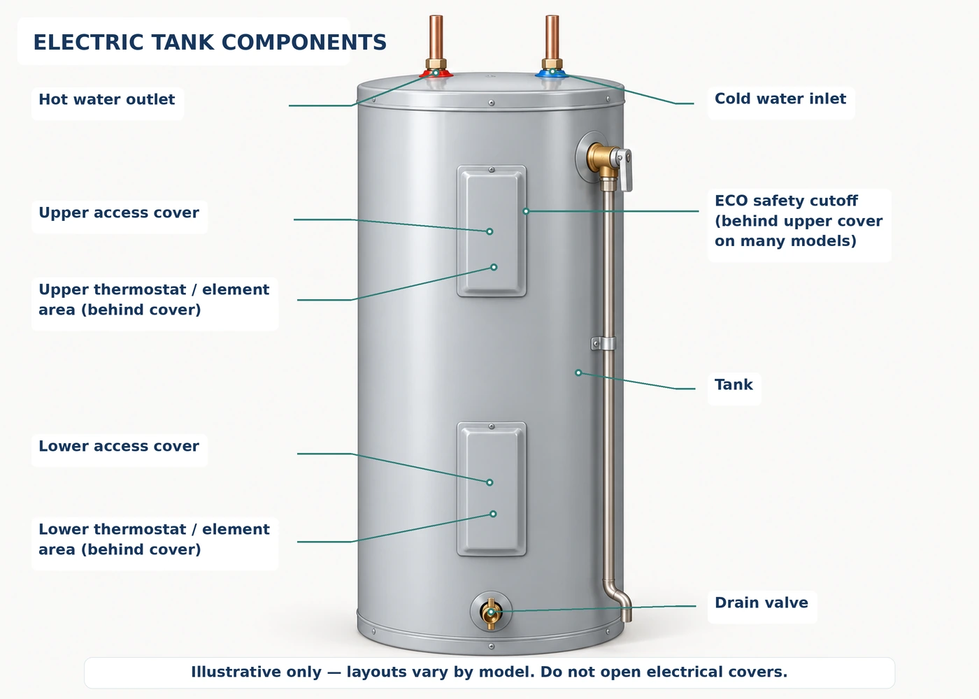 Illustrative conventional two-element electric storage water heater showing upper and lower element locations, thermostat areas, exterior access covers, and the ECO safety control; configuration varies by model
